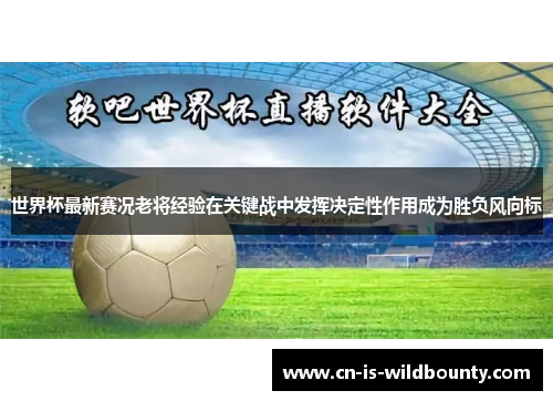世界杯最新赛况老将经验在关键战中发挥决定性作用成为胜负风向标