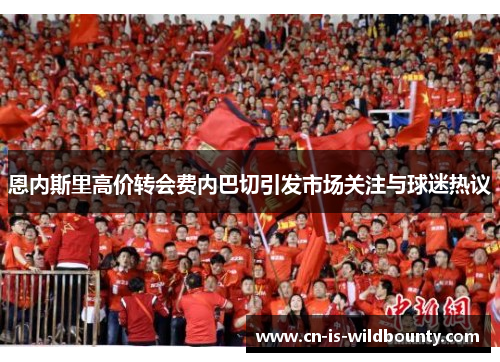 恩内斯里高价转会费内巴切引发市场关注与球迷热议