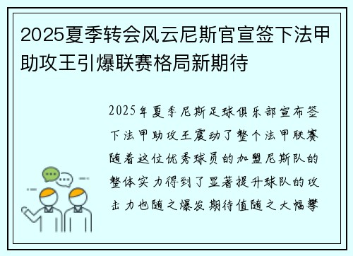 2025夏季转会风云尼斯官宣签下法甲助攻王引爆联赛格局新期待