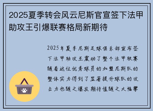 2025夏季转会风云尼斯官宣签下法甲助攻王引爆联赛格局新期待